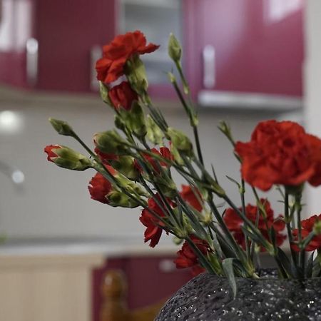 Priko Cetine Apartamento Omiš Exterior foto
